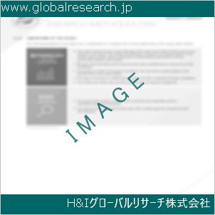 グローバルリサーチ調査資料のイメージ